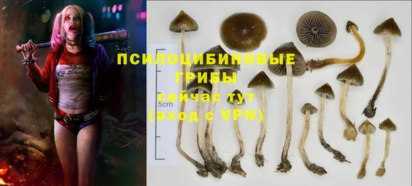дмт Белоозёрский
