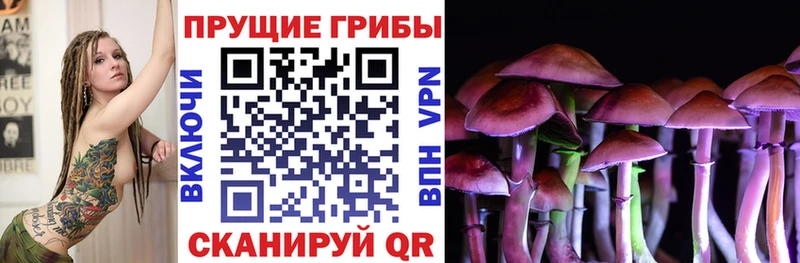 omg зеркало  купить наркотики сайты  Усинск  Галлюциногенные грибы Magic Shrooms 